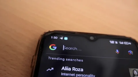 video search bar
